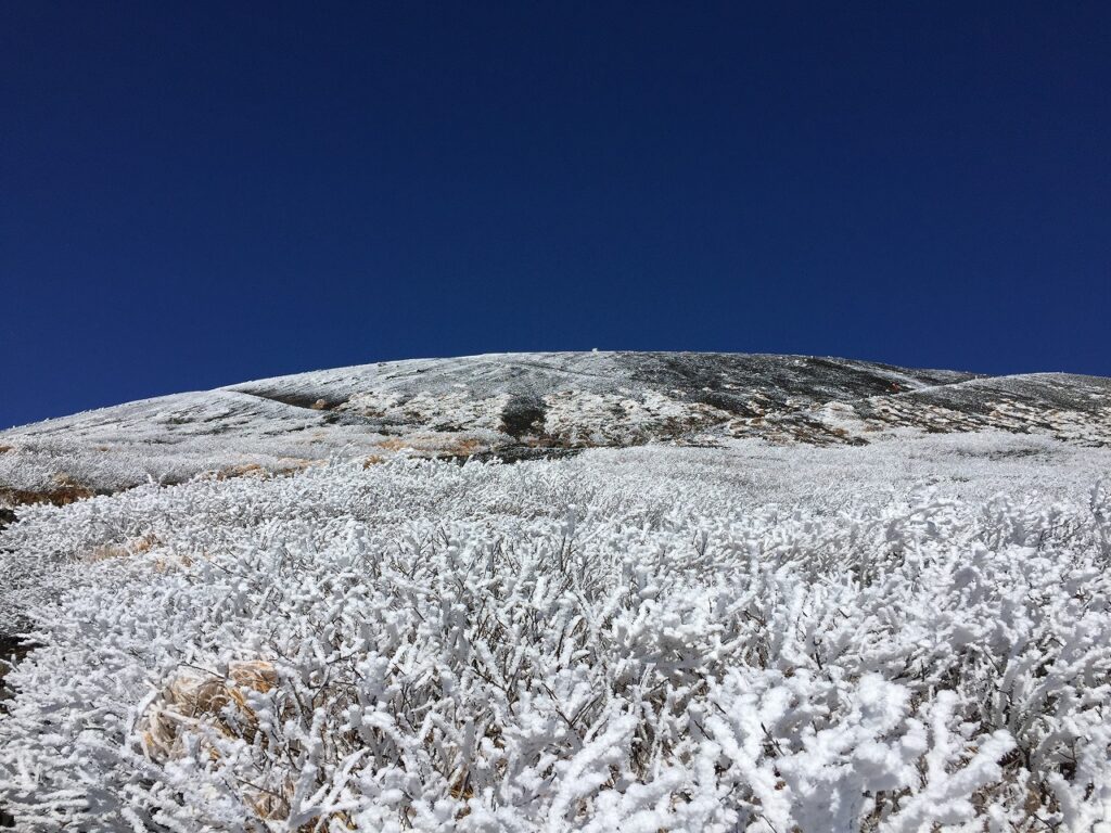 「お知らせ」の投稿機能の完成に苦労